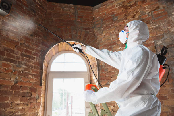 Best Industrial Mold Remediation in Latrobe, PA