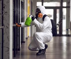 Trusted Latrobe, PA Mold Removal Experts